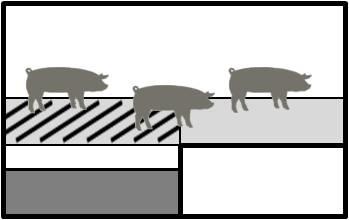 7--8 # -Fattening pigs -Floor type - Fully vs.