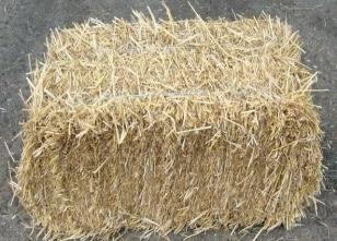 7--8 # -Fattening pigs -Floor type Straw-based deep litter with 3 different amounts of straw batches of 3 pigs divided in 3 groups.