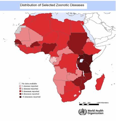 Overlap of zoonotic diseases WHO/OMS Overlap of five selected neglected zoonotic