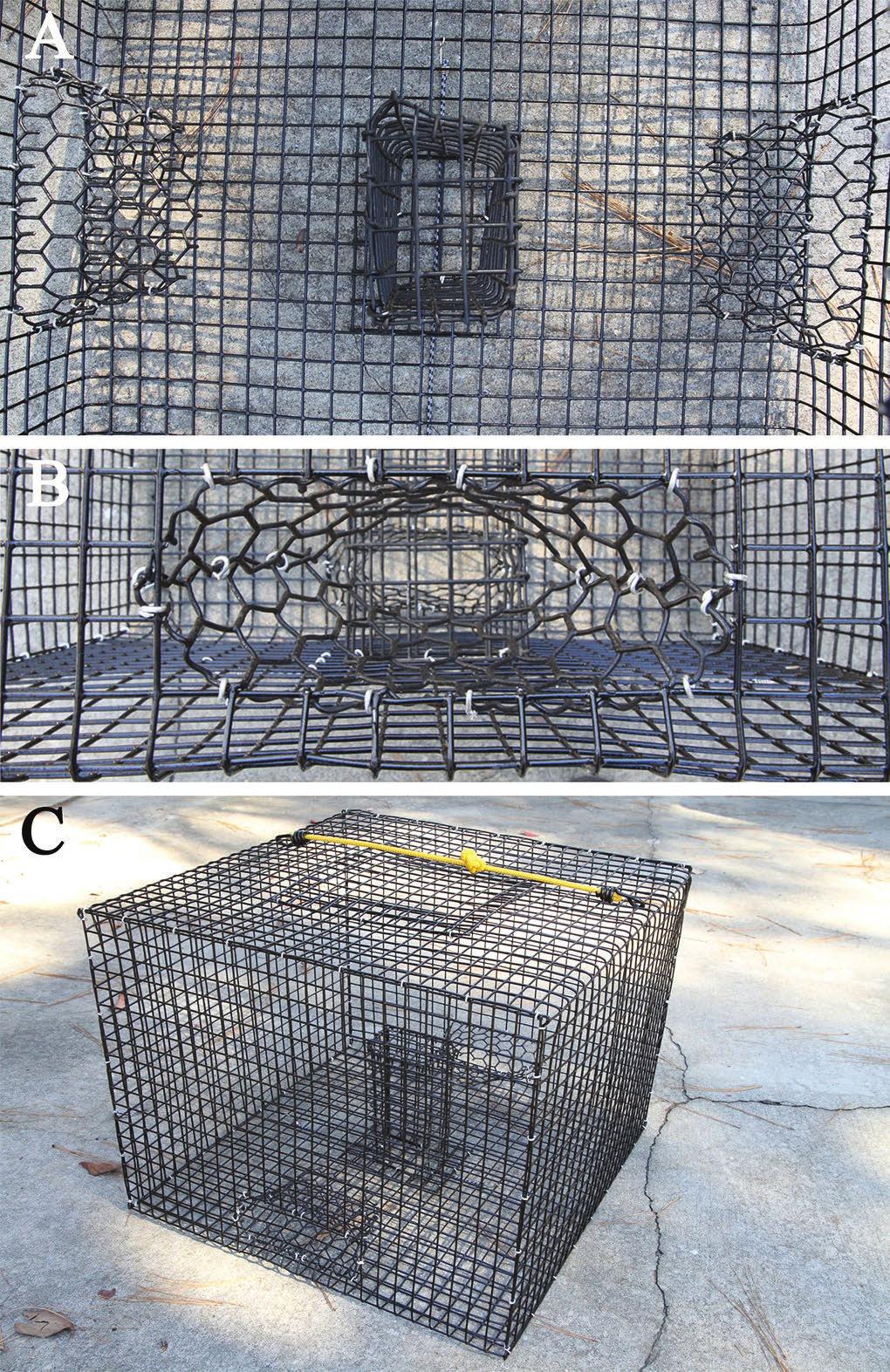 324 TECHNIQUES Fig. 1. Modified crabwire trap (Jones Trap) designed to catch small freshwater turtles.