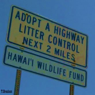 Adopt-A-Highway Program & Other Coastal Cleanups Description: These cleanups prevent land-based trash from blowing into the ocean where animals might mistake it as food.