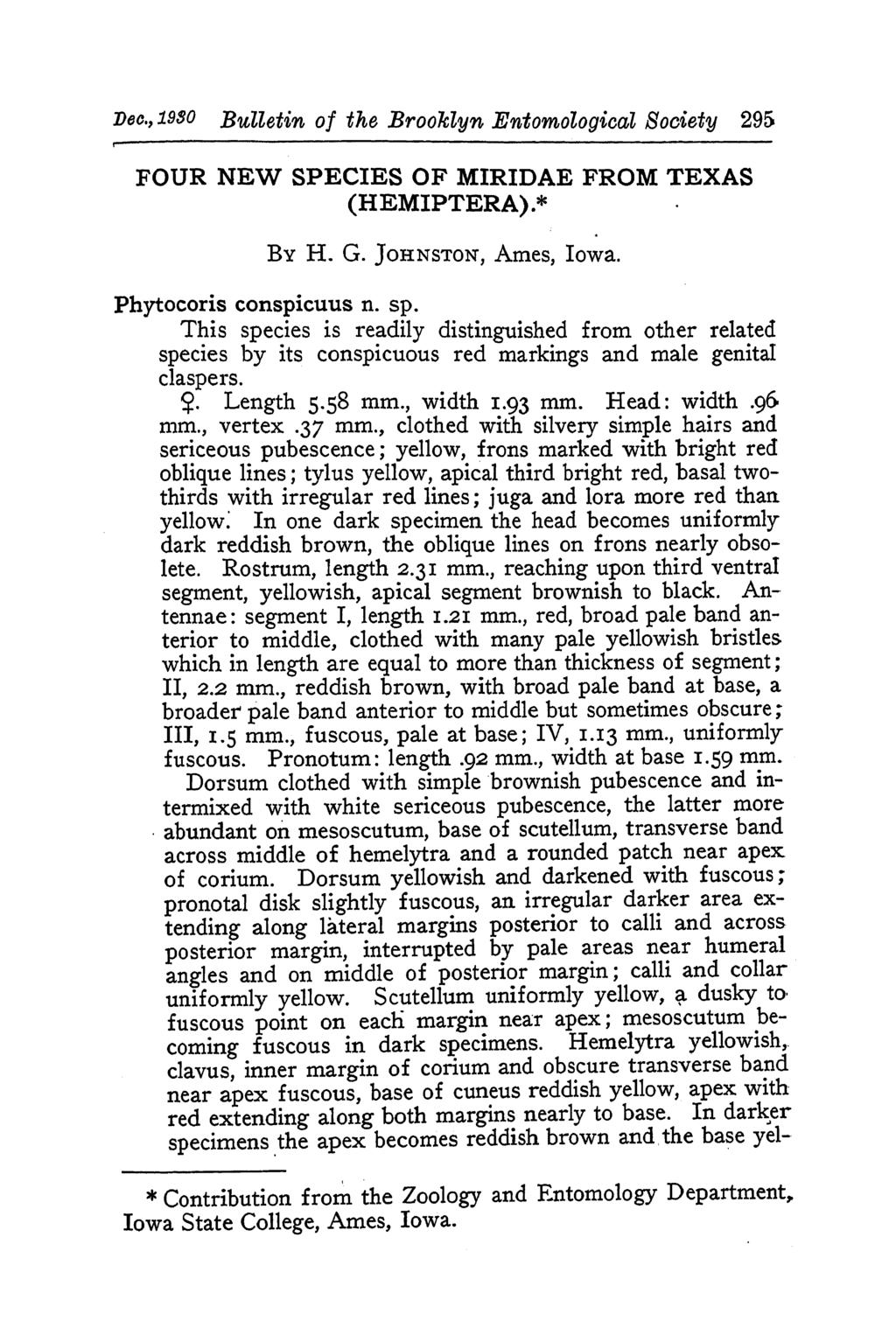 Dec., 19930 Bulletin of the Brooklyn Entomological Society 295 FOUR NEW SPECIES OF MIRIDAE FROM TEXAS (HEMIPTERA).* By H. G. JOHNSTON, Ames, Iowa. Phytocoris conspicuus n. sp.
