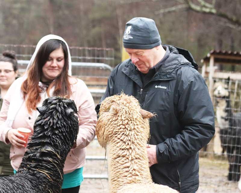 Harvard s alpacas warm the hearts of wounded warriors BY LAURA VILAIN THURSDAY, MARCH 1, 2018 On a cold, drizzly Saturday last weekend, Matt Varrell, co-owner with his wife, Amy, of the Harvard