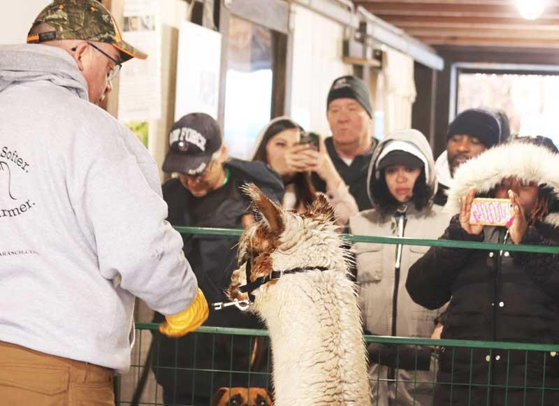 Matt Varrell (left), co-owner of Harvard Alpaca Ranch, introduces Erik, the alpaca, to the group.