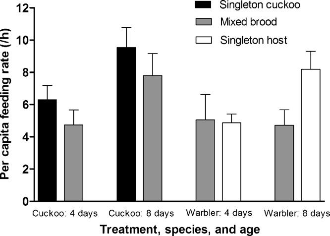 cuckoo (treatment), and singleton cuckoo chick (control). Feeding rate is expressed as feedings/clutch/hour. Fig. 4.