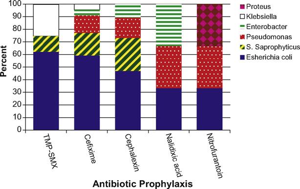 Breakthrough urinary tract infections 149 Fig. 1 Organisms causing breakthrough UTIs in 57 children on antibiotic prophylaxis.