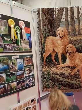 DISCOVER DOGS Once again this was held at EXCEL and was a tremendous success with thousands of visitors loving our very patient breed.