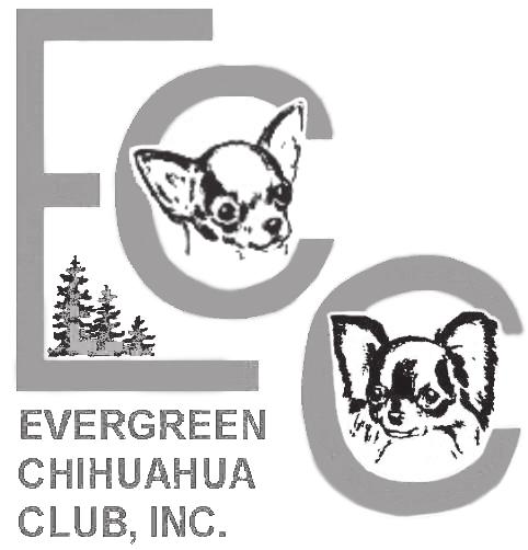 2016 OFFICERS CHIHUAHUAS, AUGUST 19, 2016, TWO SHOWS EVERGREEN CHIHUAHUA CLUB #1-Friday, August 19, 2016 #2016215502-CO, #2016215503-R Specialty, Sweepstakes, Jr.