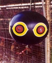 BALLOON BIRD EXPELLER (SCARY EYES) Location: Taiwan, ROC The balloon bird expellers have three different colors. They are hung underneath the eaves of poultry houses, usually around 10m apart.