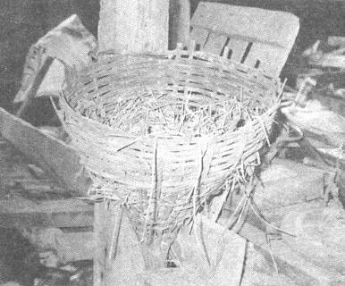 NEST FOR NATIVE CHICKENS Location: Burirum Province, Thailand Strips of bamboo are used to weave a conical basket. Rice straw is then put inside the basket, and pushed down into a nest shape (Fig. 7).