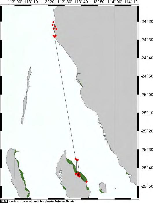 Figure 4. Tracks from a male loggerhead turtle equipped with a SPOT4 satellite tag in the Eastern Gulf of Shark Bay (starting point denoted by an arrow).