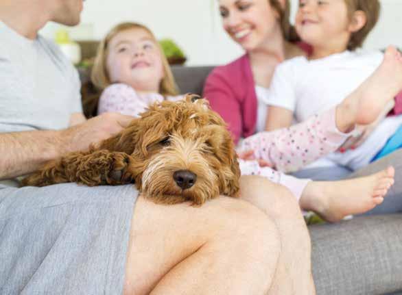 Handling animals and pets Information for parents and carers of