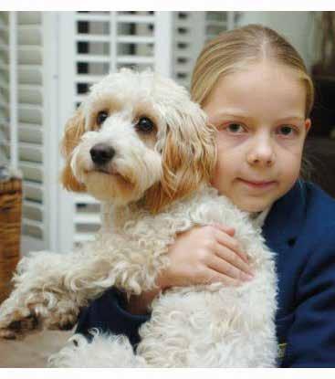 Handling animals and pets Your pet is part of the family and may sense when something isn t right or if they are being treated differently.