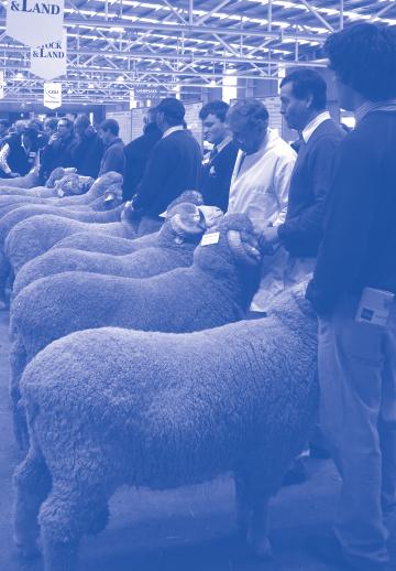 Introduction This season s Breeders Bulletin is once again full of great articles to keep you up to date with what is happening in Sheep Genetics and the greater sheep industry.