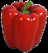 Bell Pepper Large - Red L 36