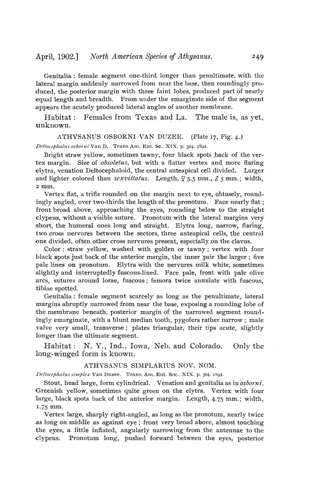 April, 1902.] North American Species of Athysanus.