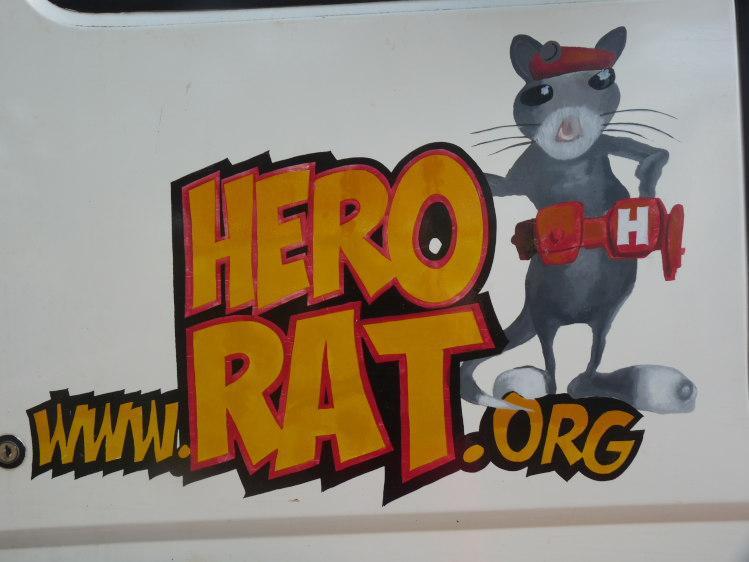 Hero Rats