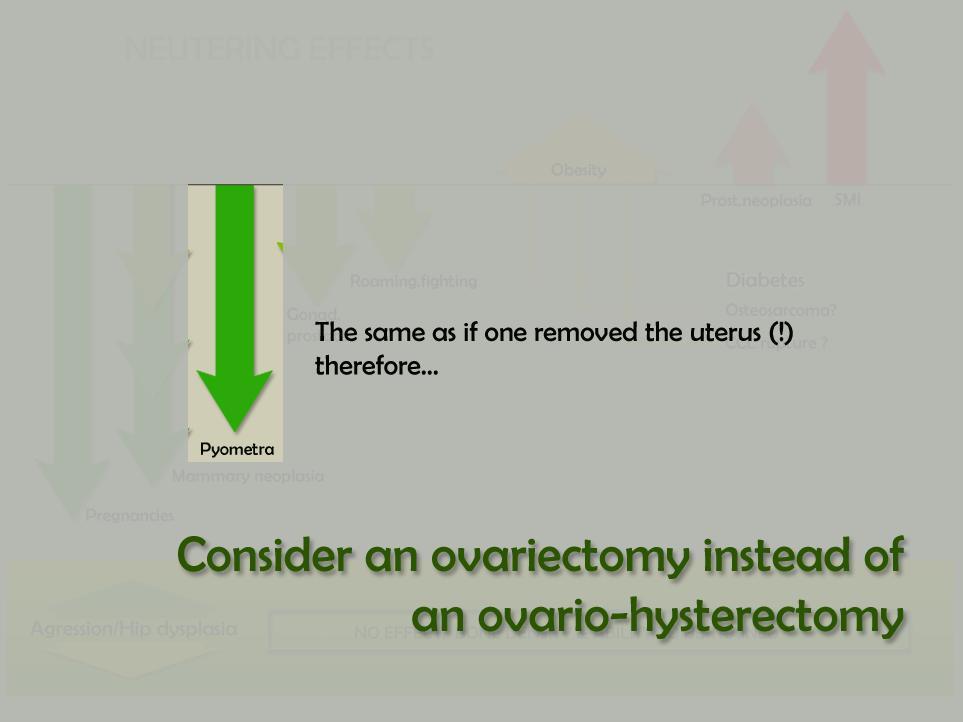 Slide 9 OK so now we are going to talk about some approaches to ovariectomy First, why not just take out the ovaries and leave the uterus in there?