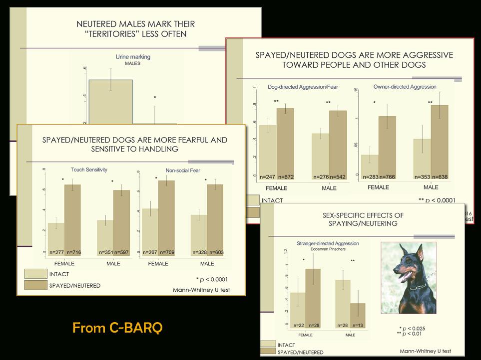 Slide 8 This is typical of a CBARQ report.