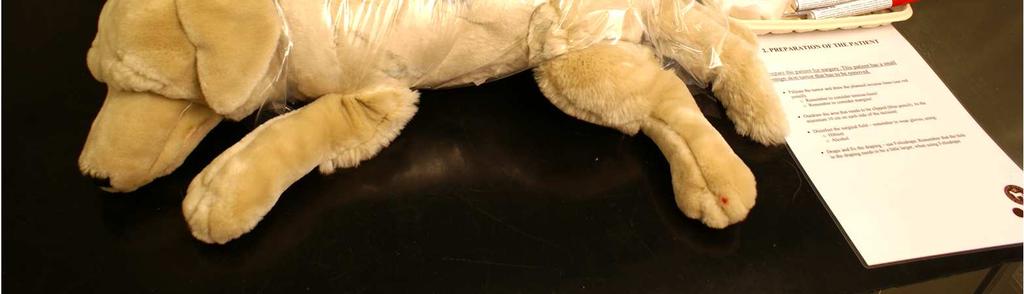 Materials Toy dog with a skin tumor placed