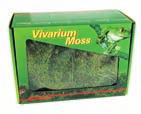 Moss Lucky Reptile Vivarium Moss Lucky Reptile Vivarium Moss is perfect for decorating your vivarium and creating places inside your vivarium with high humdity.