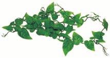 Lucky Reptile Jungle Plant Bushes These attractive and natural looking plastic plants have several strands of large leaves that offer protection from sight and additional hiding space to the animals.