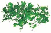 60 cm 64563 Lucky Reptile Jungle Vine These long plastic vines look very natural and are excellent for decorating your tropical terrarium.