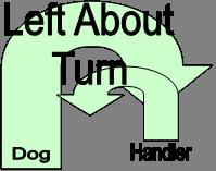 Left About Turn While moving forward with the dog in heel position, the handler does an about U turn (180 )