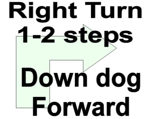 Right Turn, 1-2 Steps, Down, Forward The team turns to the right, takes 1-2 steps, then the handler halts and cues the dog to down.