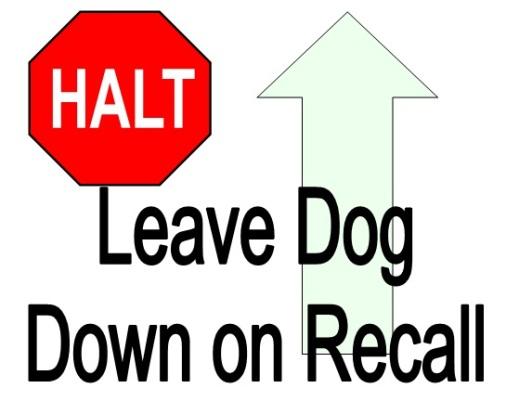 Turn, Recall, Down, Recall, Finish or Forward At this sign, the handler turns, faces dog, and calls the dog to come.