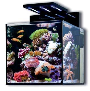 code Aquaria Cubicus 570.00 Cubicus 570.10 Cubicus w/o lighting Complete Seawater Aquarium Energy saving complete seawater aquarium in stylish design.