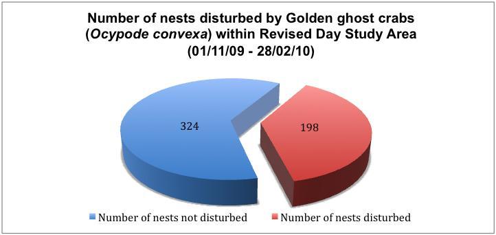 Figure 10: Number of nests disturbed by Golden ghost crabs (Ocypode convexa) in the Revised Day
