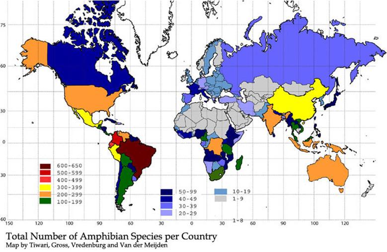 Herp Diversity Amphibian Species Need