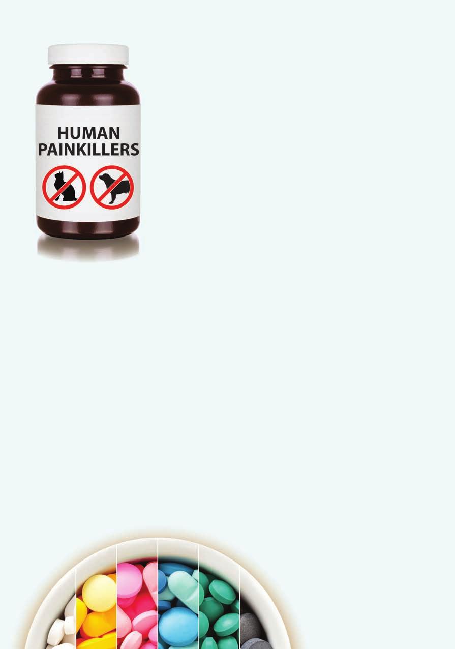 Human Painkillers The dangers of self-prescribing By Jade Lawrence BVMedSci, BVM, BVS, MRCVS Larkmead Vets From what I have experienced as a vet so far, most animals have a tendency to reveal