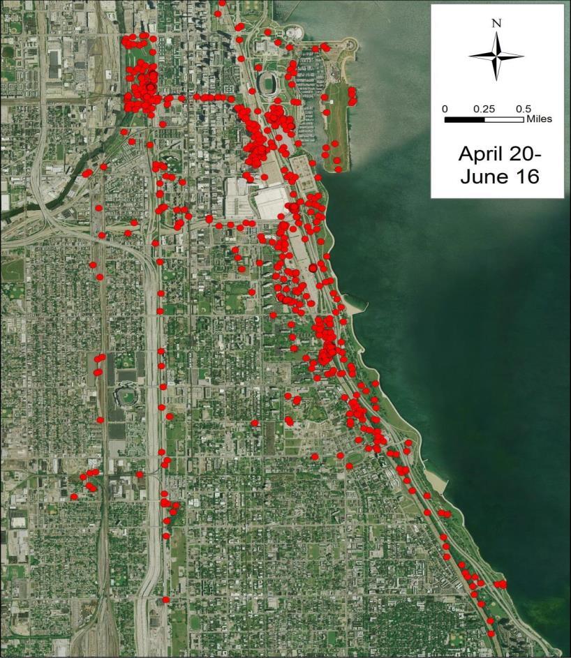 Figure 6. Satellite locations of coyote 748 mid-april until his death on June 16. On June 15, 748 was found in the McCormick parking lot in distress.