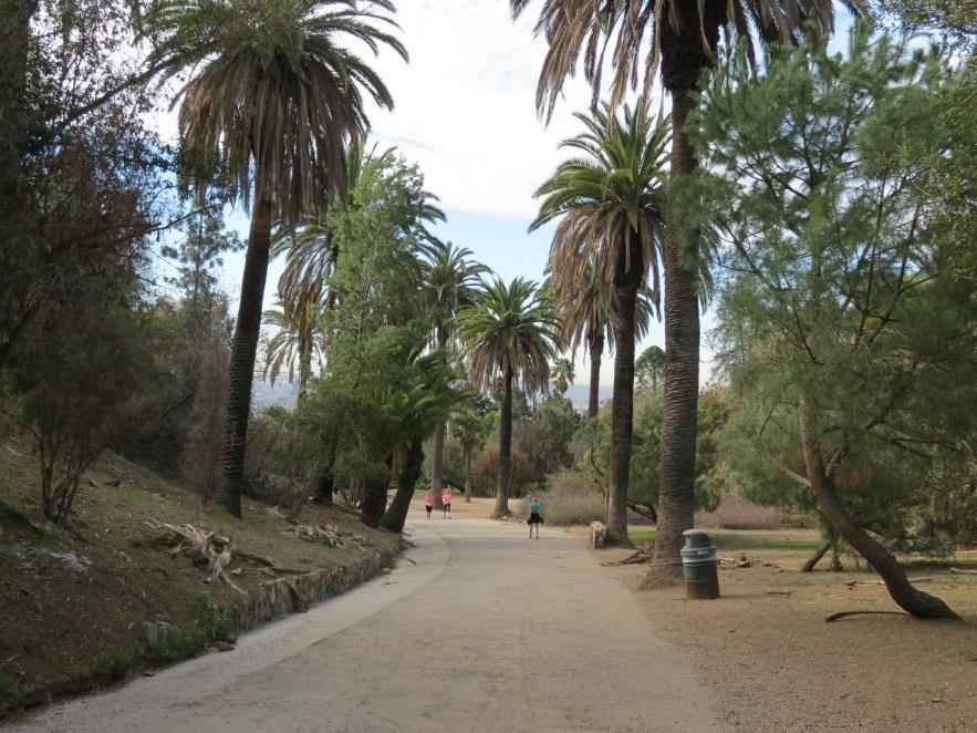 Runyon Canyon Off-Leash Dog Park This 160 acre park has been designated as one of Los Angeles