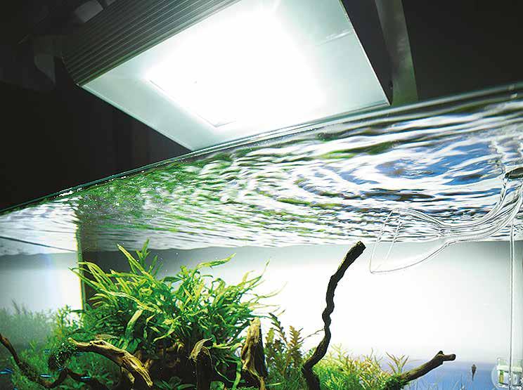 You will achieve the best result by using a HQl light and a system based on fluorescent lamps with T5 technology. The ratio of light output to the capacity of an aquarium should not be less than 0.