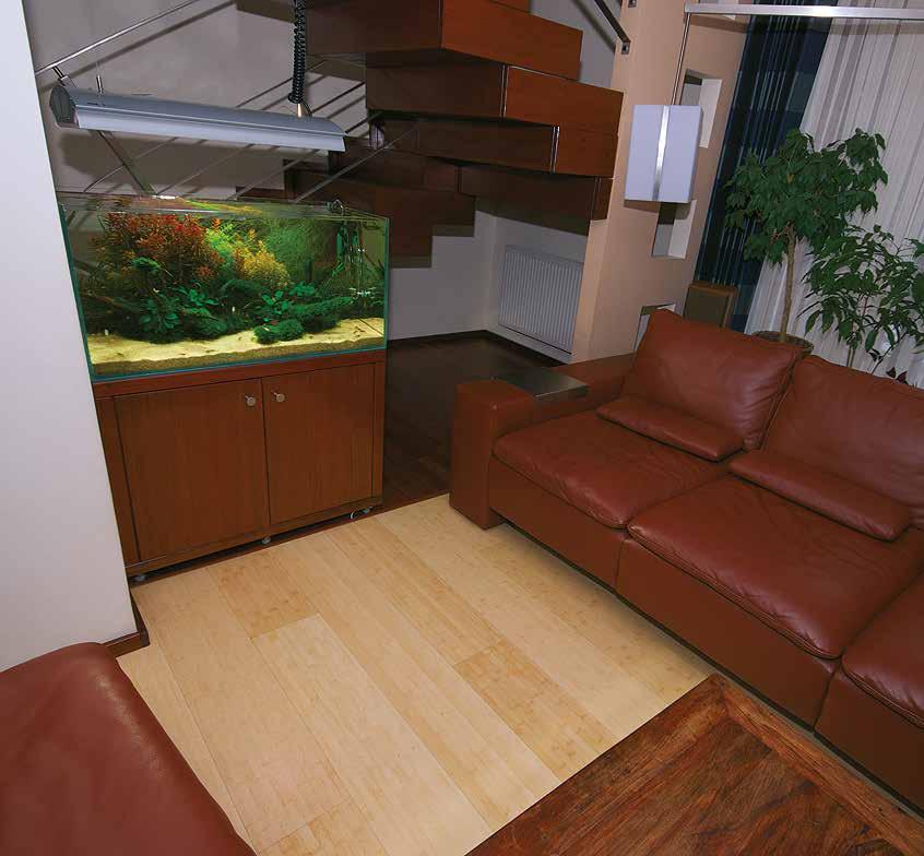 1 Deciding 2 Place for on owning an aquarium an aquarium Modern technologies and an exquisite selection of plants, animals and natural decorations allow you to easily start your adventure with