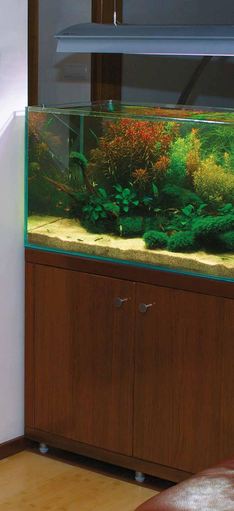 Your aquarium will be a wonderful natural feature of any interior.