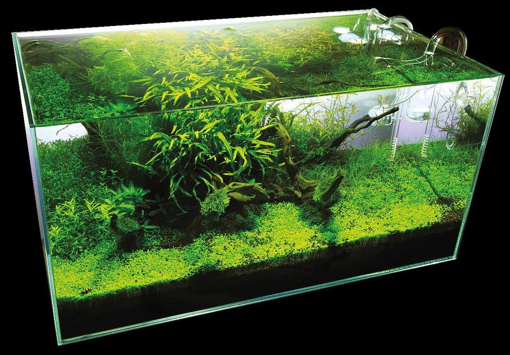 3 Selecting a tank 4 Aquarium setup Aqua Art aquariums are manufactured using Pilkington Opti White extra clear glass.