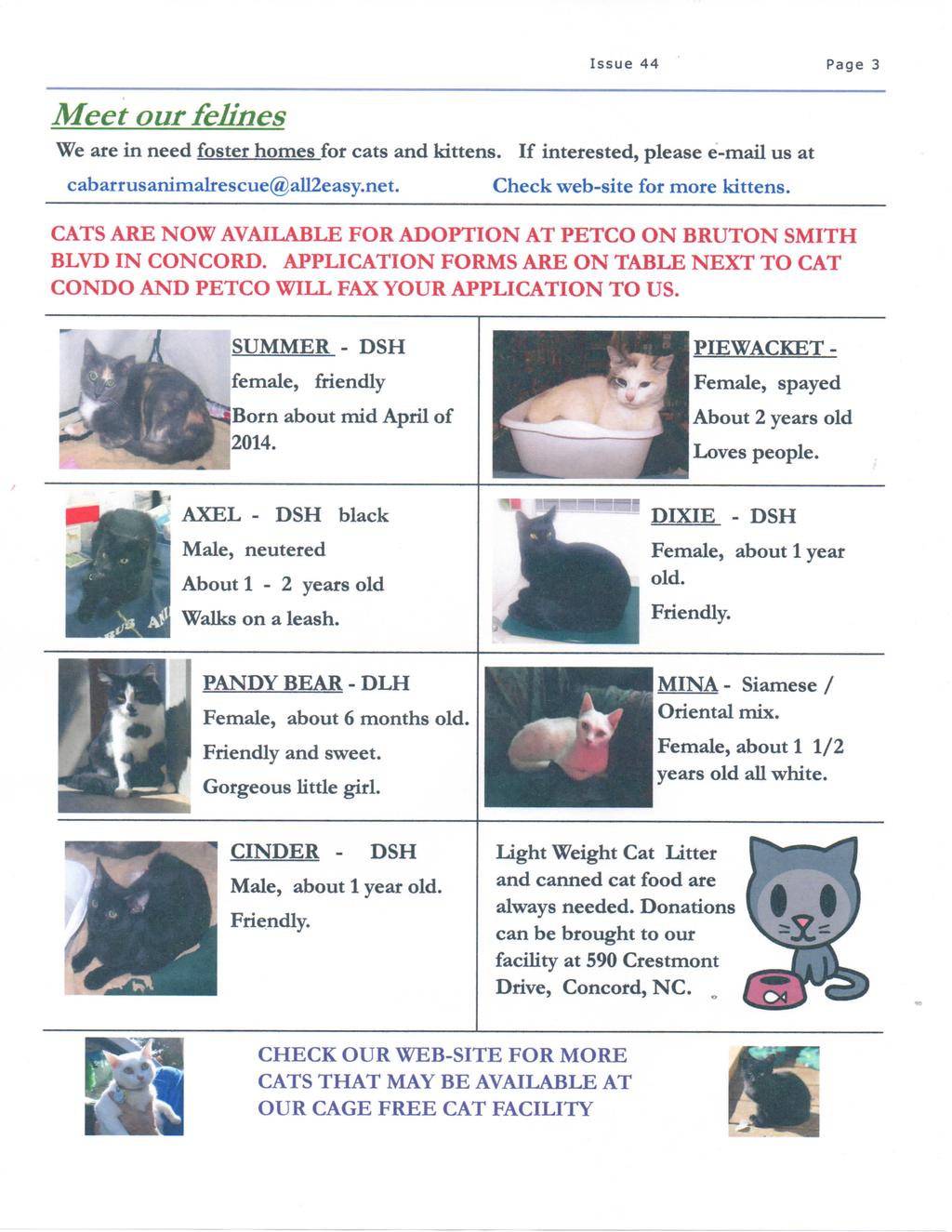 Meet our felines Issue 44 Page 3 We are in need foster homes for cats and kittens. If interested, please e-mail us at cabarrusanimalrescue@all2easy.net. Check web-site for more kittens.