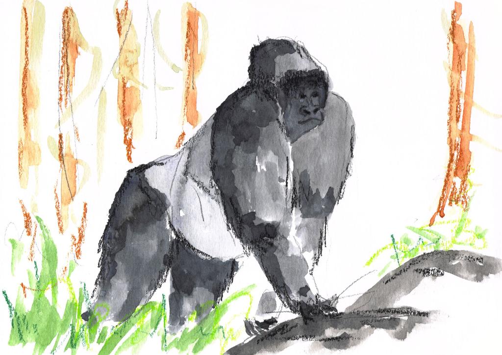 A gorilla sauntered along and stopped to look