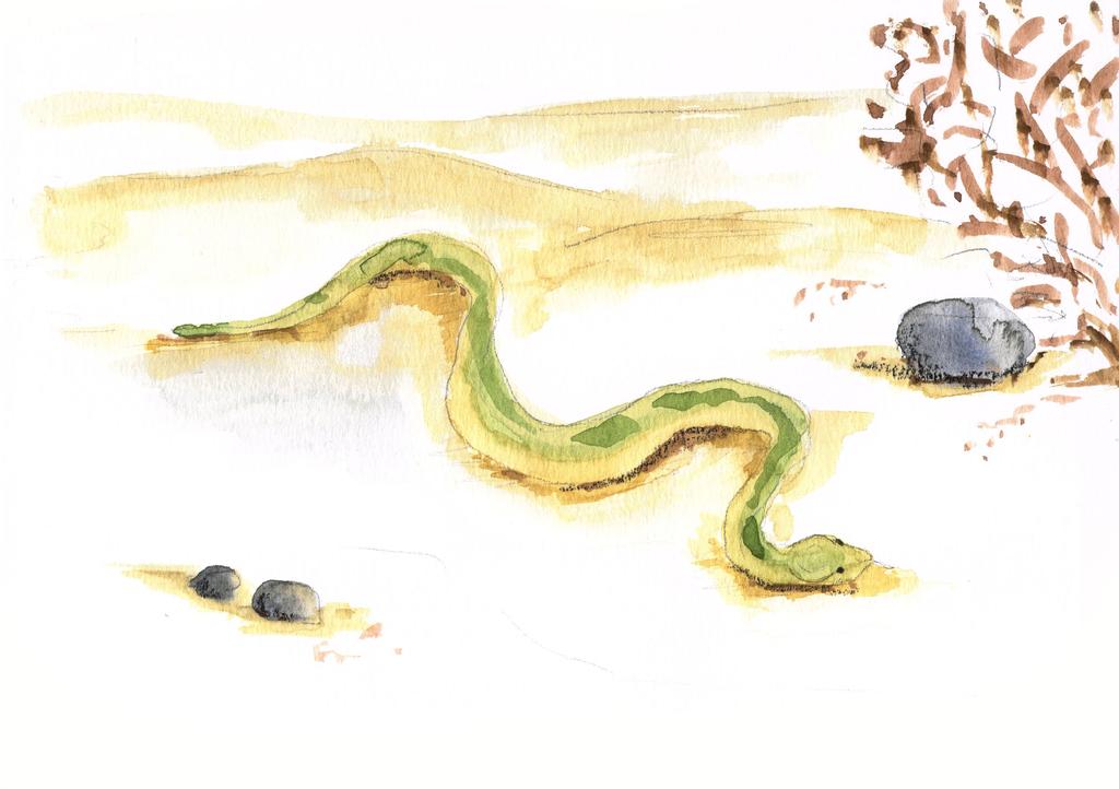 A snake slithered into view. He paused in front of Swallow.