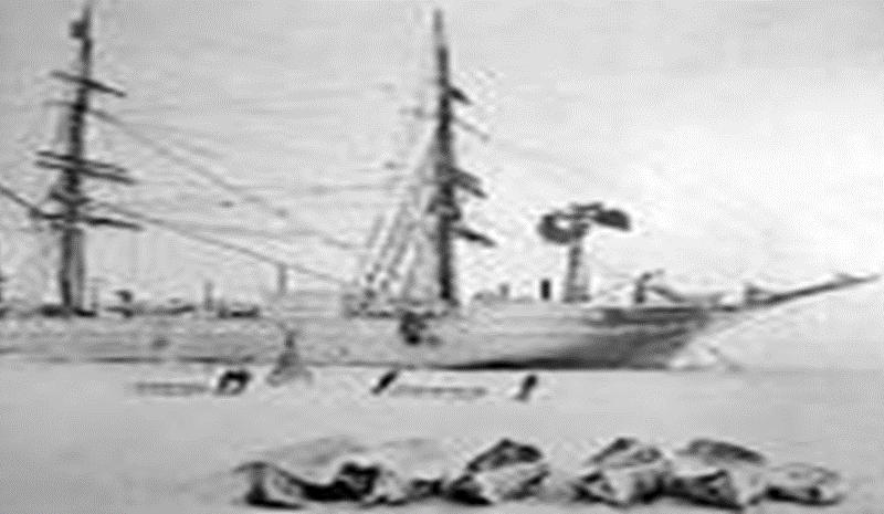 Robert Scott Falcon s ship The Discovery The endurance was not Ernest Shackleton s first attempt to claim the South Pole. In 1901 he joined Robert Falcon Scott on a ship known as the Discovery.
