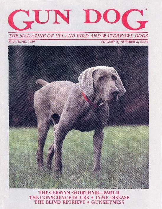 In 1982, Elena met with 7 other Weim owners and together they formed the Gr Charleston Weim Club, which eventually became licensed to hold AKC Hunt Tests, specialty shows, obedience and Field Trials.