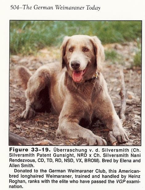 1987 Elena went to Germany and represented the Weimaraner Club of America as WCA Vice President and to attend the Major Herber Herbstzuchtprufung in Pommersfelden, Bavaria.