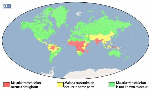 Malaria Map Map Source: Center for Disease Control www.cdc.gov/malaria/about/distribution.html What does the red mean? What does the yellow mean? What does the green mean?