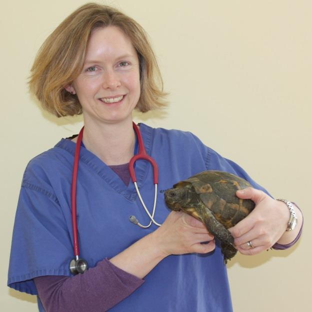 Case study: Jo Job: Veterinary Surgeon Undertake a range of veterinary duties for all Wood Green animals including operations, assessing animals and administering medication, taking x-rays and taking