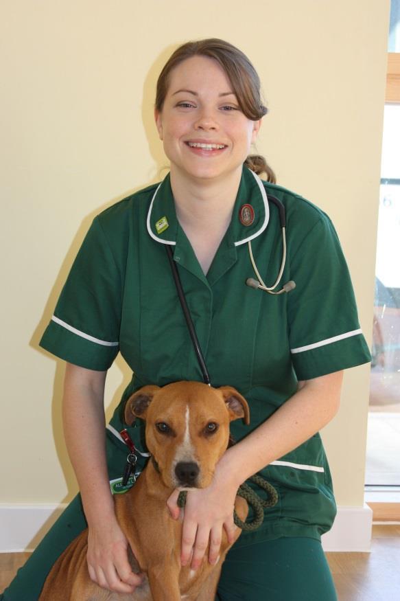Case Study: Alison Job: Qualified Veterinary Nurse Role & Responsibilities: To provide high standards of care and husbandry to a range of animals within the care of Wood Green.