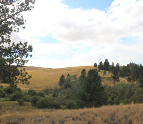 better understanding of man s environment. Rose Creek hosts classes for professionals and students, continuing to teach people about the importance of the Palouse ecosystem while also protecting it.